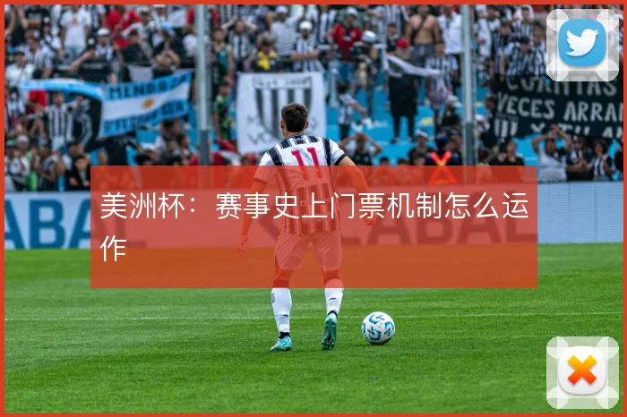 美洲杯：赛事史上门票机制怎么运作