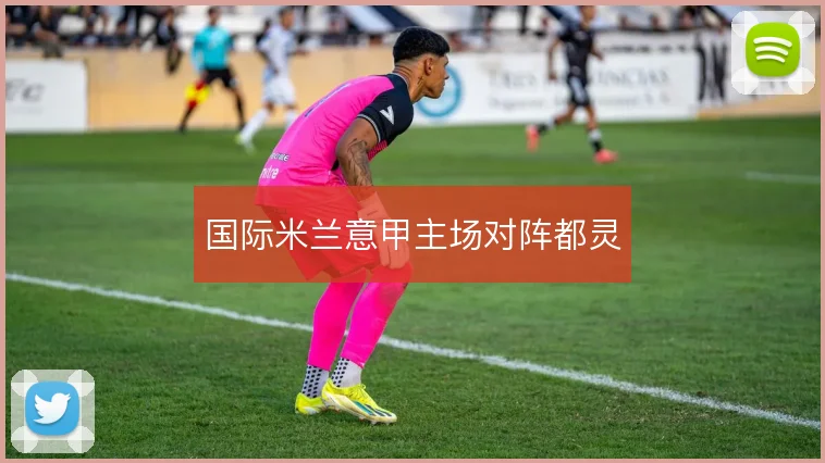 国际米兰意甲主场对阵都灵