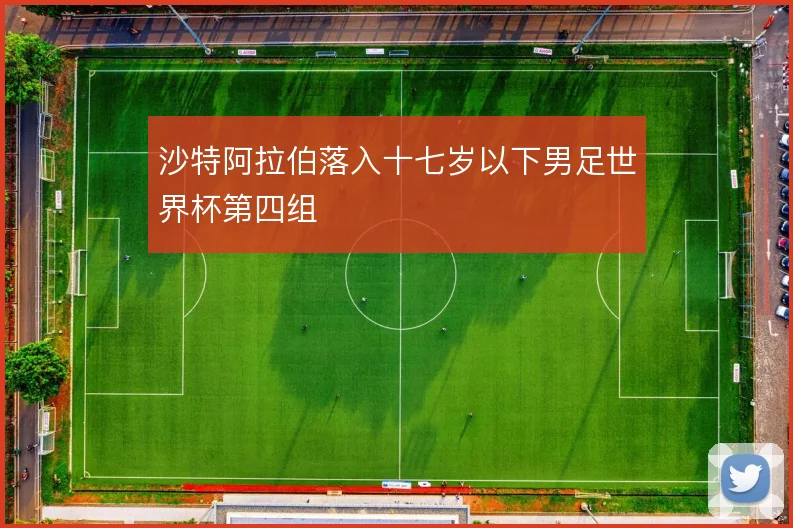 沙特阿拉伯落入十七岁以下男足世界杯第四组