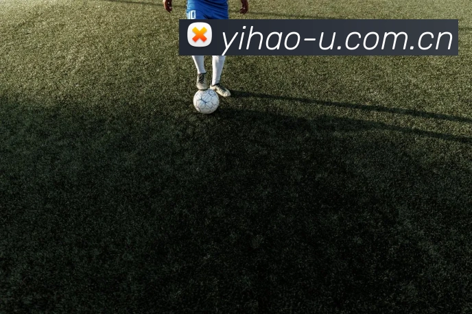 App Interface Preview